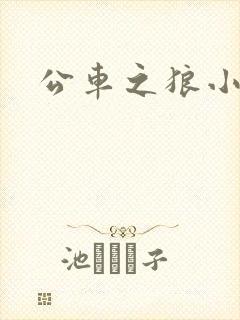 公车之狼小说