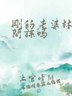 刚的老婆林彦是间谍吗