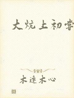 大炕上初尝云雨