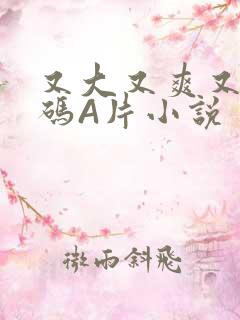 又大又爽又黄无码A片小说