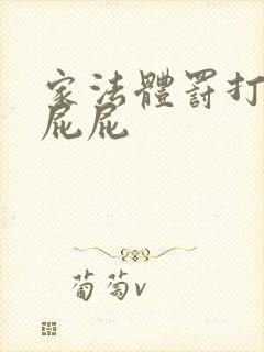 家法体罚打丫鬟屁屁