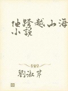 他跨越山海而来小说
