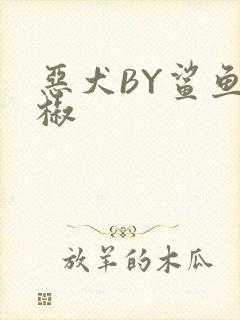 恶犬BY鲨鱼辣椒