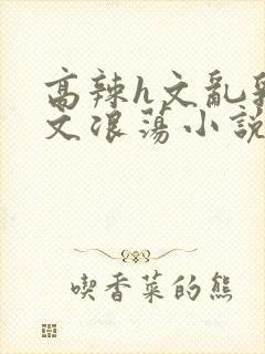 高辣h文乱乳h文浪荡小说txt