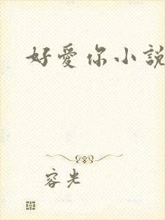 好爱你小说