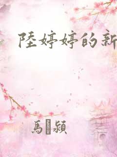 陆婷婷的新故事