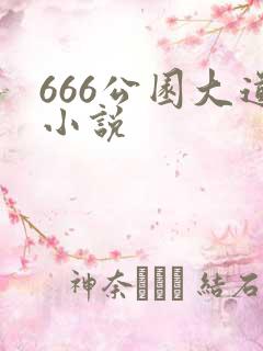666公园大道小说