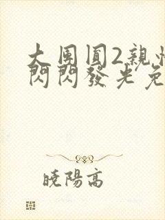 大团圆2亲情会闪闪发光免费