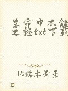 生命中不能承受之轻txt下载