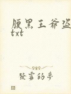 腹黑王爷盗墓妃txt