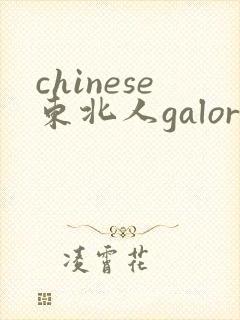 chinese东北人galore