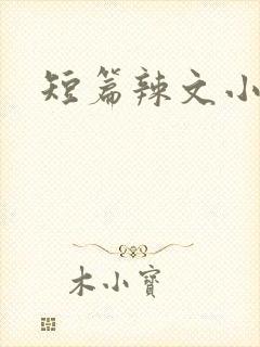 短篇辣文小说