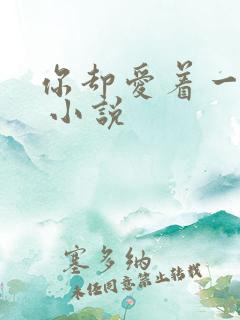 你却爱着一个他 小说