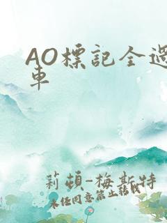 AO标记全过程车