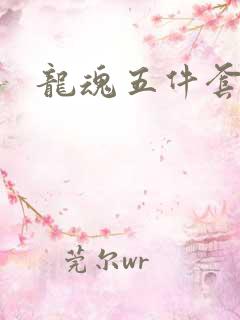 龙魂五件套