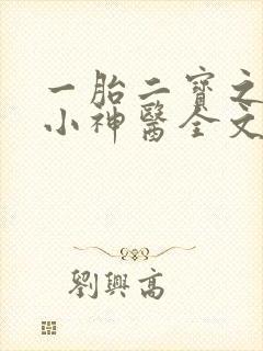 一胎二宝之弃妃小神医全文免费阅读