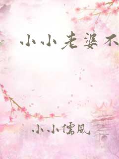 小小老婆不受宠