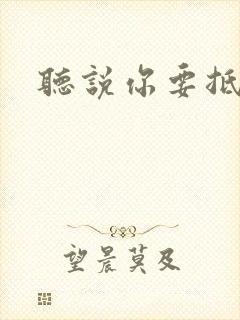 听说你要抵抗我