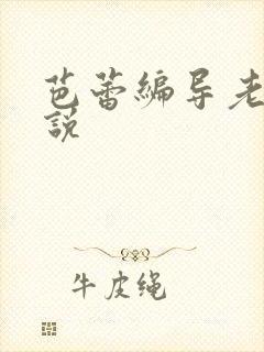 芭蕾编导老师小说