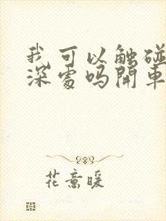 我可以触碰你的深处吗开车作文