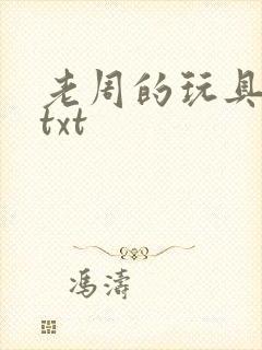 老周的玩具日记txt