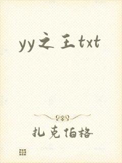 yy之王txt