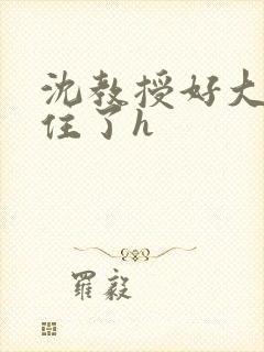 沈教授好大含不住了h