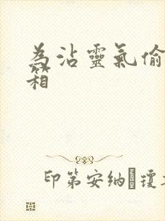 为沾灵气偷功德箱