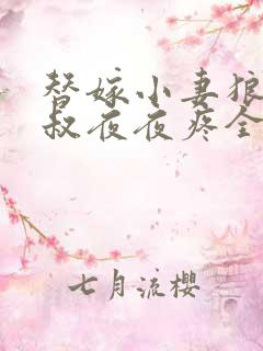 替嫁小妻狼性大叔夜夜疼全文免费阅读