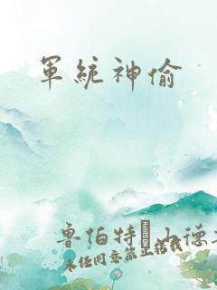 军统神偷