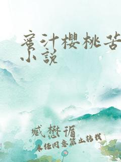 蜜汁樱桃苦咖啡小说