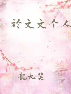 于文文个人简历