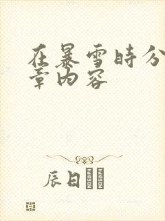 在暴雪时分54章内容