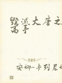 毁灭大唐之异能高手