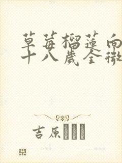 草莓榴莲向日葵十八岁全微糖