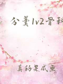分羹1v2骨科
