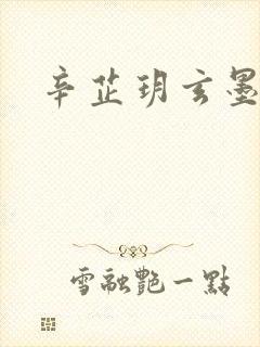 辛芷玥玄墨小说