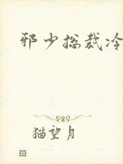 邪少总裁冷心秘