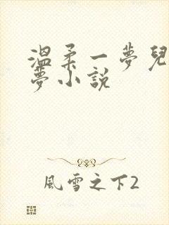 温柔一梦儿媳林梦小说