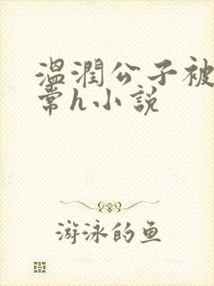 温润公子被脔日常h小说