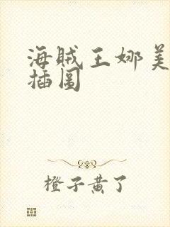 海贼王娜美被轮插图