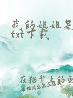 我的姐姐是美女txt下载