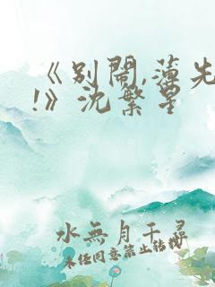 《别闹,薄先生!》沈繁星