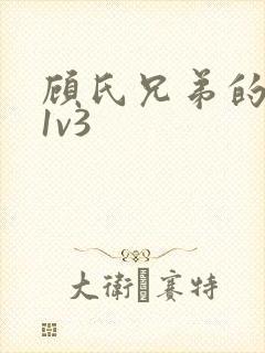 顾氏兄弟的南宁1v3