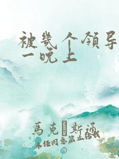 被几个领导玩弄一晚上