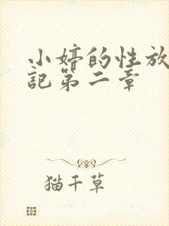 小婷的性放荡日记第二章