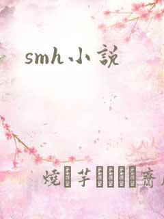 smh小说