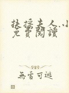 扶摇夫人.小说免费阅读