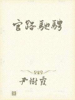 官路驰骋