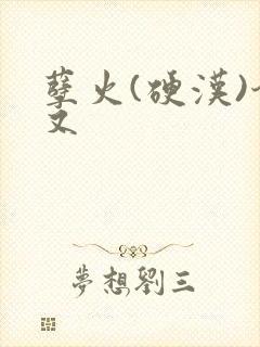 孽火(硬汉)今又